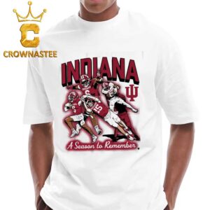 Fernando Mendoza Touchdowns A Season To Remember Unisex T-Shirt