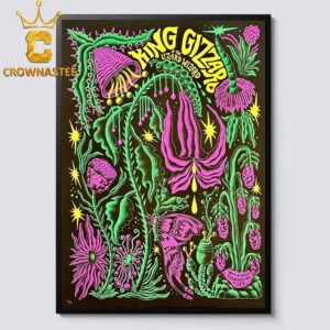 King Gizzard And The Lizard Wizard Poppodium 013 2025 Tilburg NL November 17th Home Decor Poster Canvas